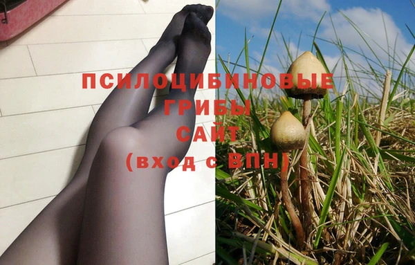 MDMA Premium VHQ Гусиноозёрск