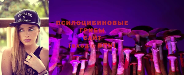 эйфоретик Шадринск
