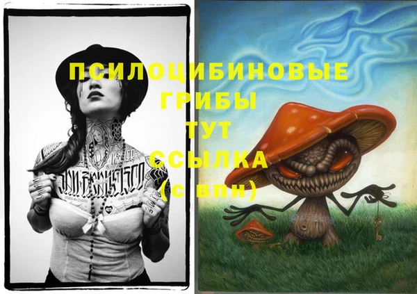 Альфа ПВП Гусев