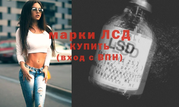 Альфа ПВП Гусев