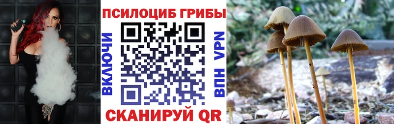 Галлюциногенные грибы мицелий  кракен   Обь 