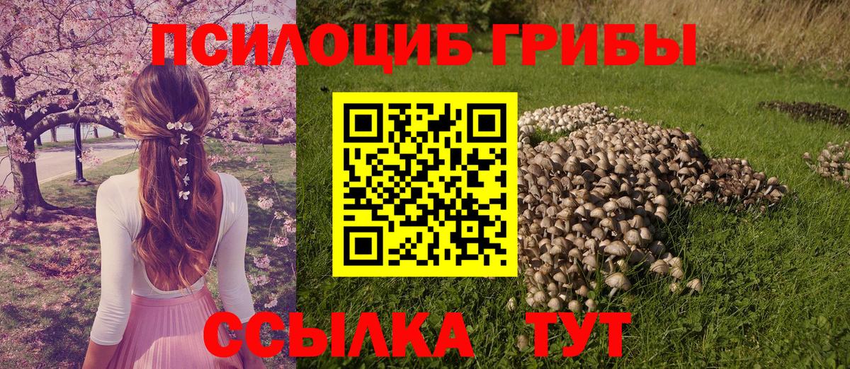 Галлюциногенные грибы мицелий Обь