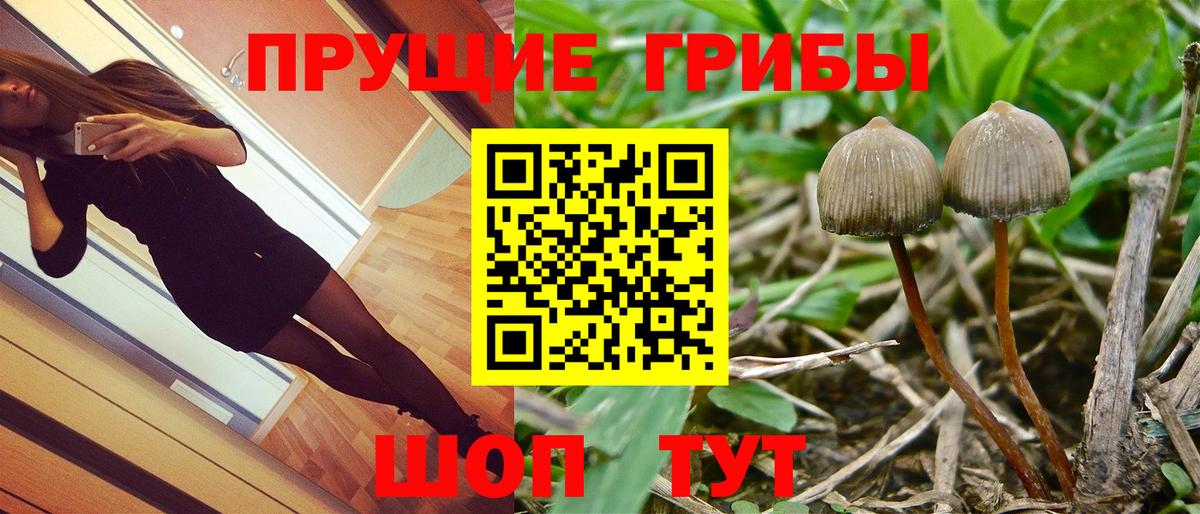 Псилоцибиновые грибы Psilocybine cubensis  Вход с VPN  Псилоцибиновые грибы Magic Shrooms  Обь 